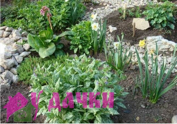садово огородные работы на даче весной