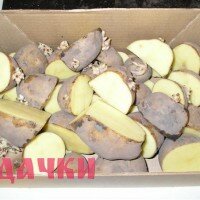 как подготовить картофель к посадке