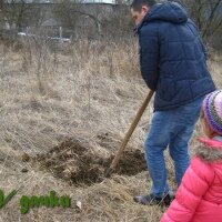 осенние работы в саду