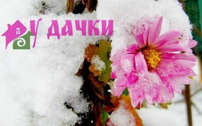 Зимние работы в саду и огороде
