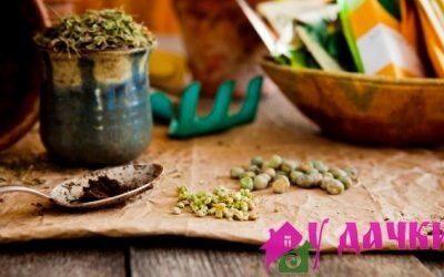 Что такое стратифакция семян, как подготовить семена к посеву