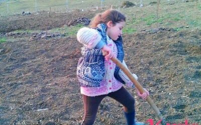 какие овощи сажают ранней весной