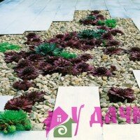 Гравийные отсыпки в саду