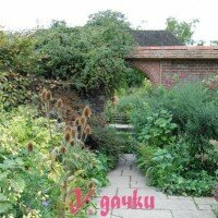 сад в английском стиле