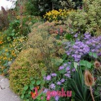 сад в английском стиле