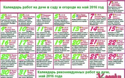 календарь работ в саду и огороде 2016 год май