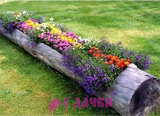 Оригинальный цветник в бревне