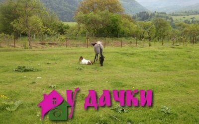 Лунный календарь работ на даче в июне 2017